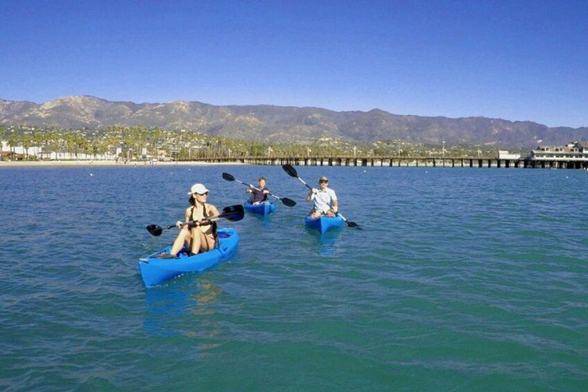 Kayak or Stand Up Paddle Board Rental 4