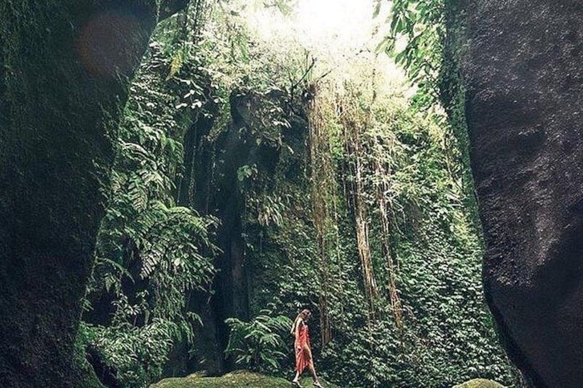 Best of Ubud Waterfalls Private Tour 2