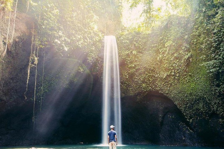 Best of Ubud Waterfalls Private Tour 5