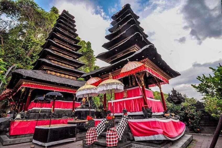 East Bali and Gate of Heaven Temple Private Tour 5