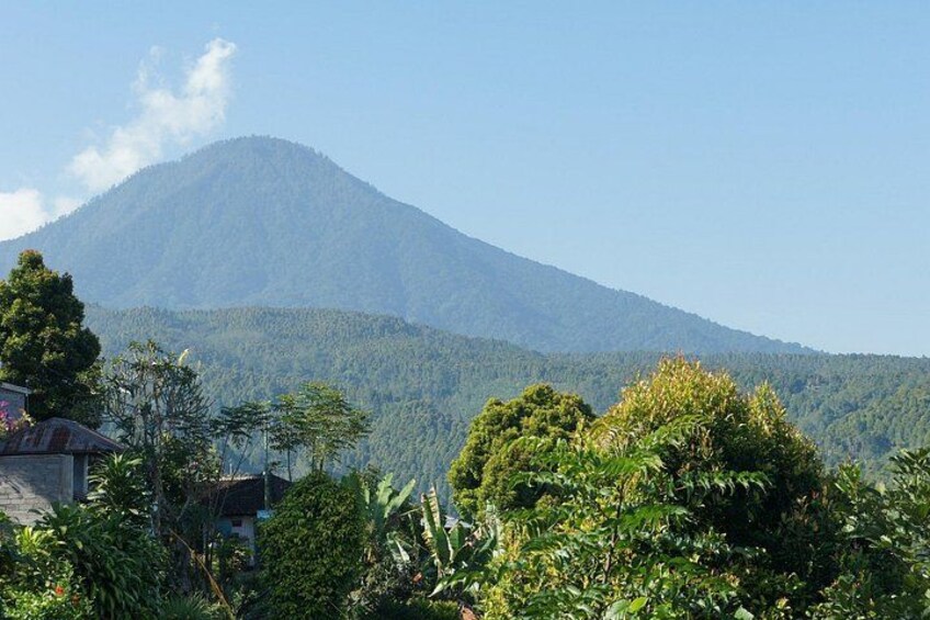 East Bali and Gate of Heaven Temple Private Tour 2