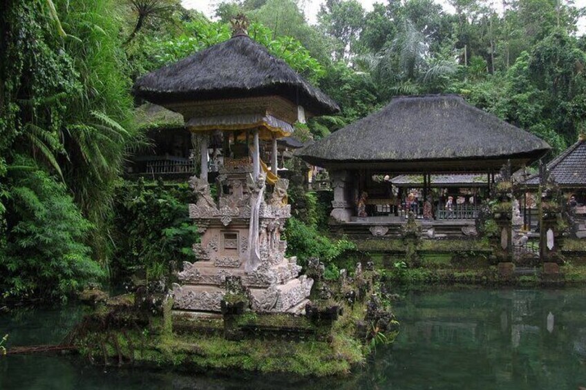 Private Full-Day Bali Tour: Temples and Rice Terraces