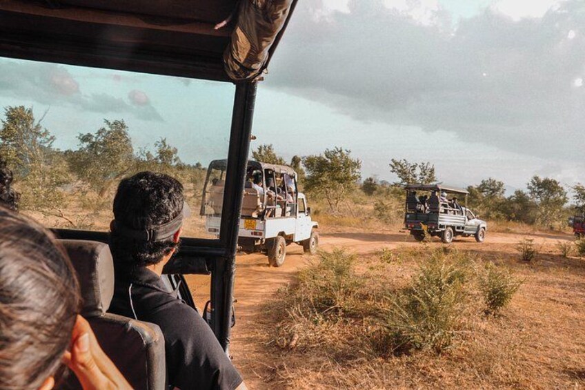 A safari vehicle with passengers observing wildlife in a dry, open landscape. 2