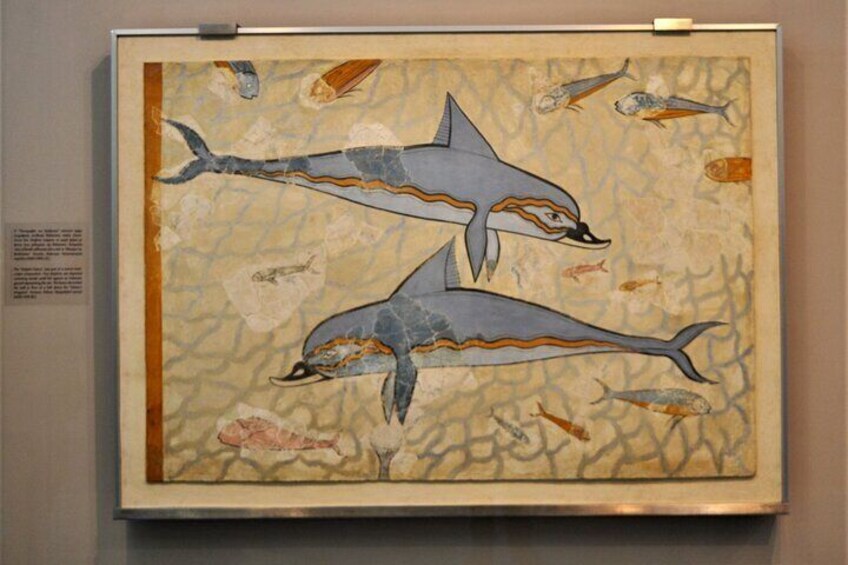 A framed artwork of two dolphins swimming among smaller fish. 3
