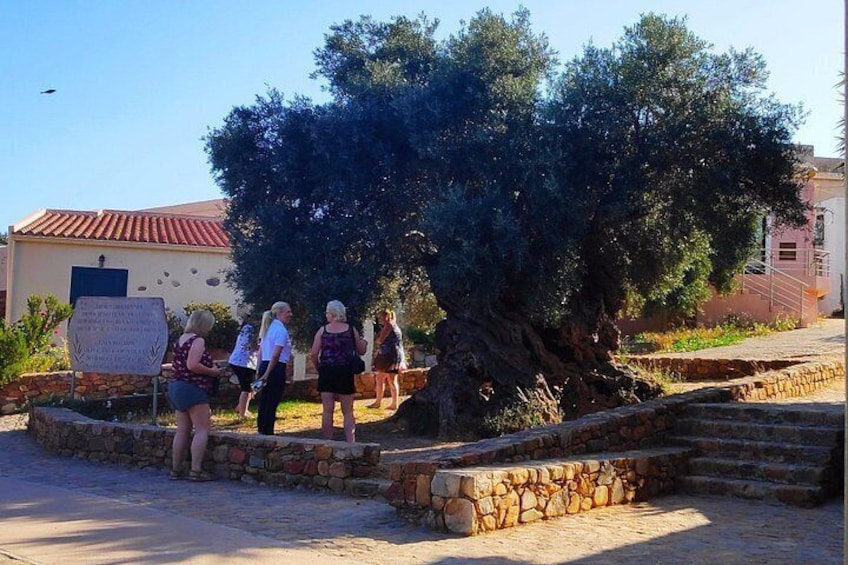 Elafonisi & Falasarna Small Group Tour from Chania w/snacks 2