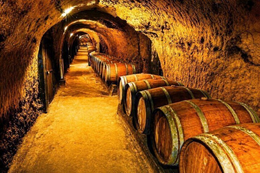 Un tunnel con pareti rivestite di botti di legno. 2