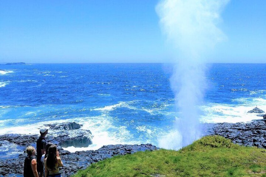 Erupting Blowholes and Ancient Rainforests with 'Personalised Sydney Tours'