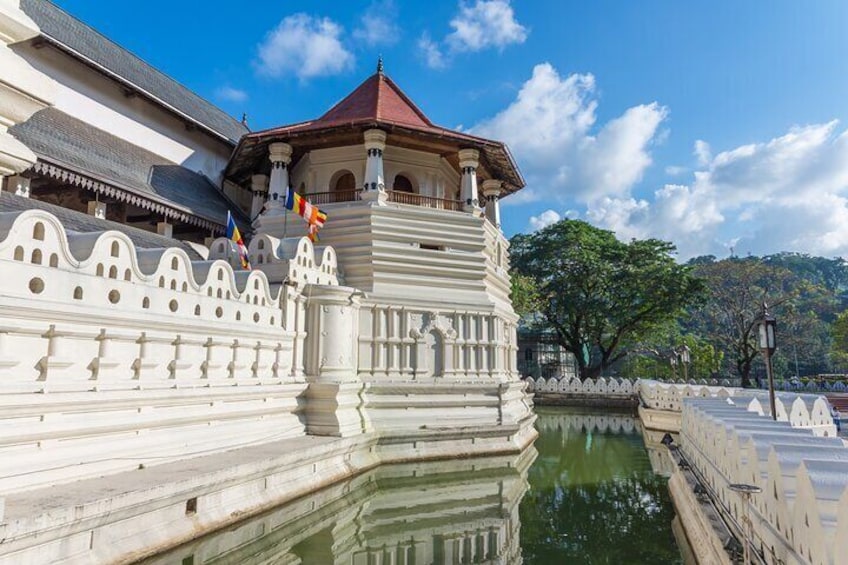 Kandy City Tour from Negombo 4