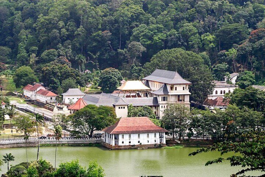 Kandy City Tour from Negombo 3