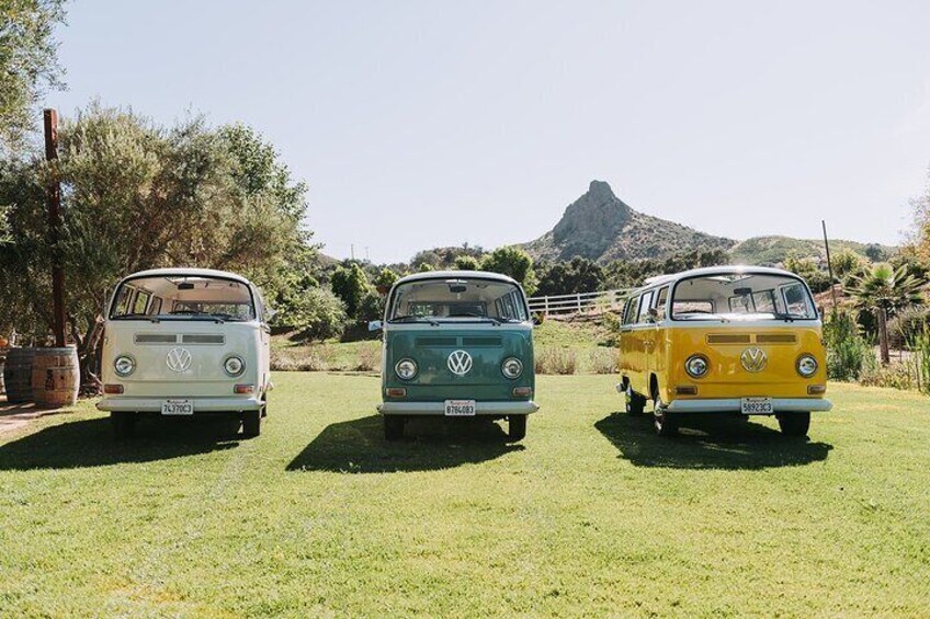 Malibu: Vintage VW Bus and Vineyard Tour