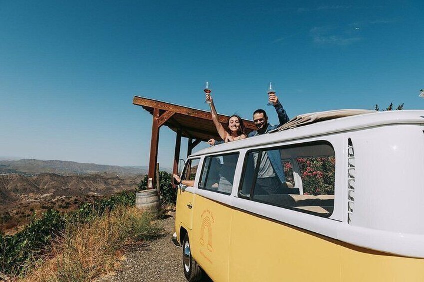 Malibu: Vintage VW Bus and Vineyard Tour 2