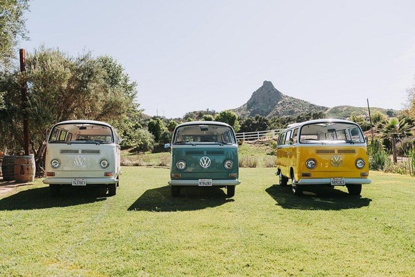 Malibu: Vintage VW Bus and Vineyard Tour 2
