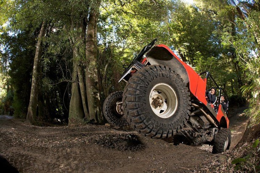 A red off-road vehicle navigating a dirt trail in a forested area. 3