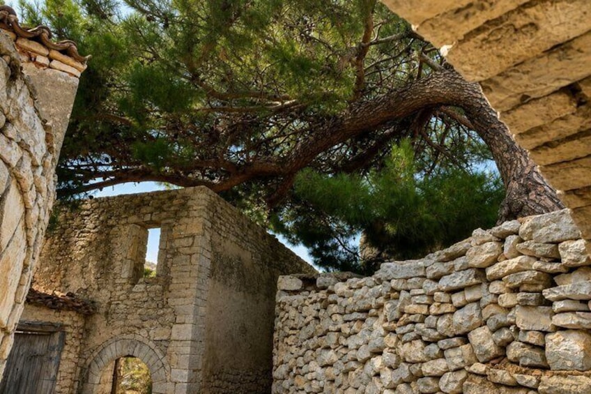 An ancient stone structure with a large tree growing over it. 3