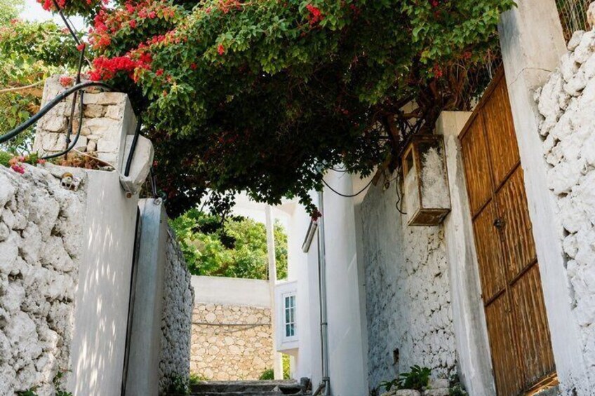A narrow stone pathway, a wooden door, and a tree with red flowers. 2