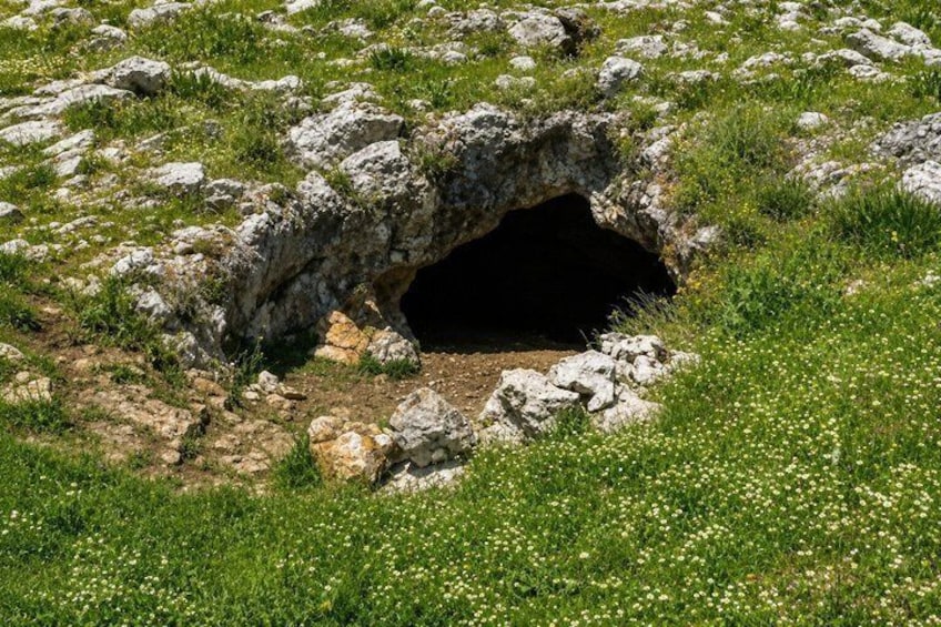 En naturlig klippeformation med en huleindgang omgivet af græs og små hvide blomster. 4