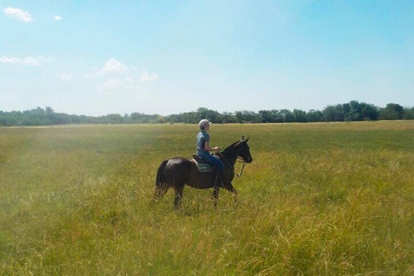 Horseback Riding Adventure with Asado in Buenos Aires!