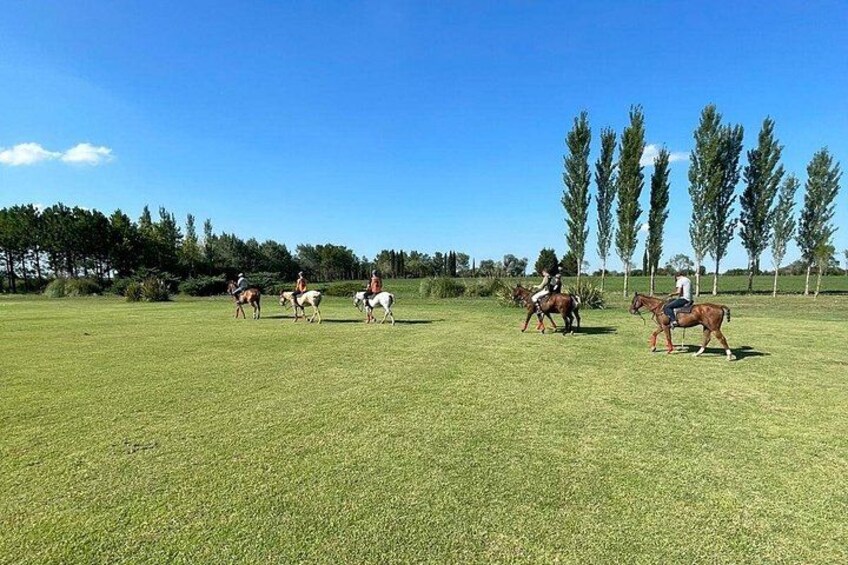 Horseback Riding Adventure with Asado in Buenos Aires! 4
