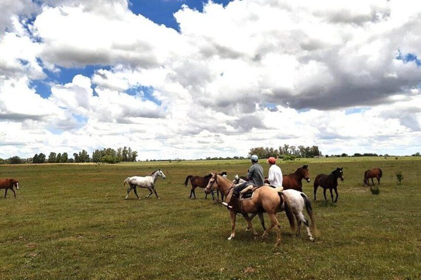 Horseback Riding Adventure with Asado in Buenos Aires! 5