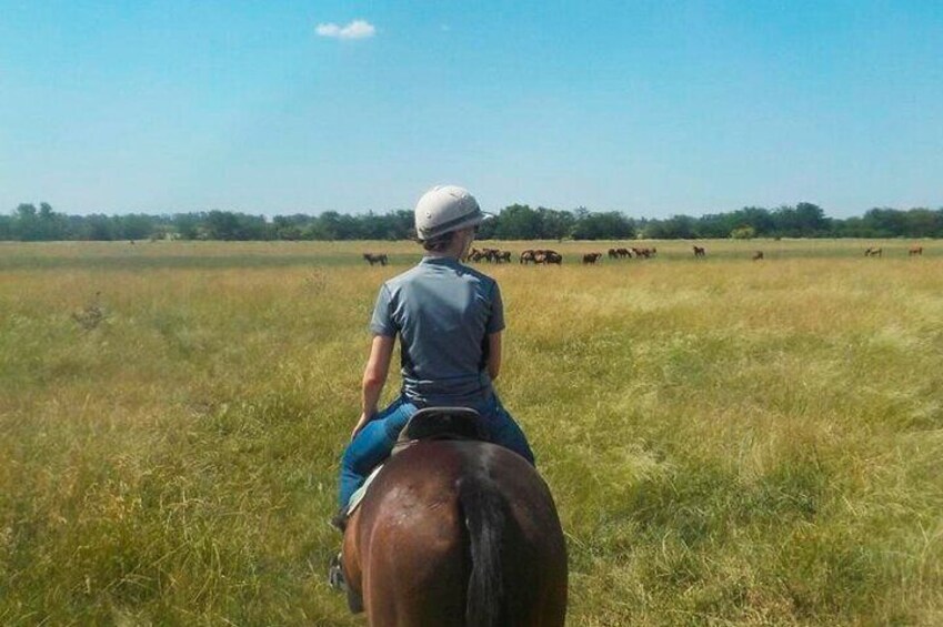 Horseback Riding Adventure with Asado in Buenos Aires!