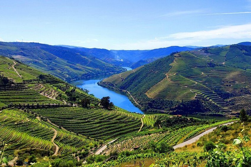 An enchanting discovery in the Douro Valley 1