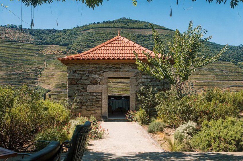 An enchanting discovery in the Douro Valley 4