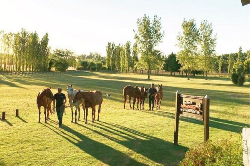 Estancia Day in Buenos Aires!