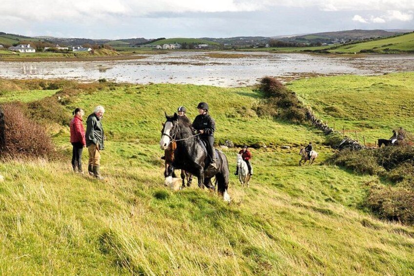 Beach & countryside horse riding outside Westport. Guided. 1 hour 2