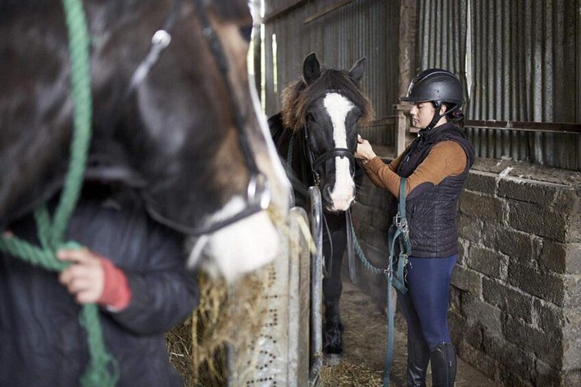 A stable with a horse and a person grooming it. 2