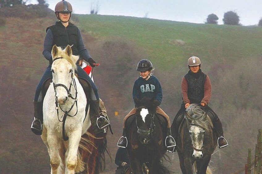 Beach & countryside horse riding outside Westport. Guided. 1 hour 2
