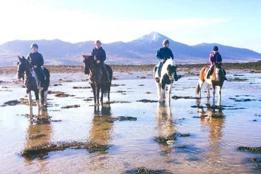 Four people riding horses in a shallow water body with a mountainous landscape in the background. 1