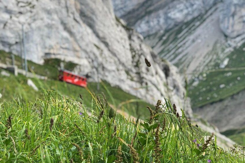 Mt. Pilatus & Lake Lucerne Cruise Private Tour | From Lucerne 2