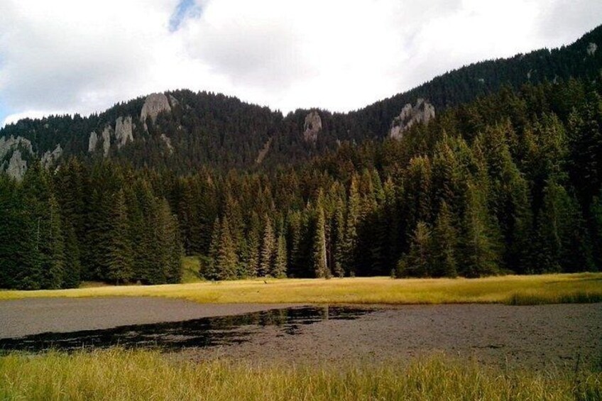 A mountainous landscape with a lake, dense forest, and a clear sky. 3