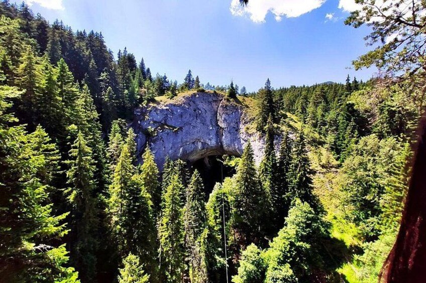 A forested mountain with a prominent rock formation. 4