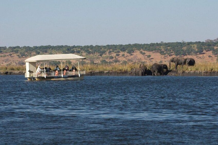 Chobe Day Trip 2