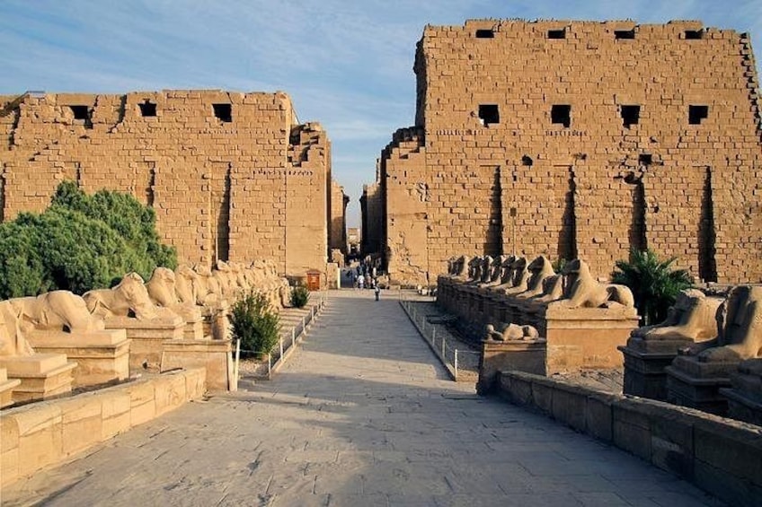 Private Day from Cairo to Luxor by plane with hotel,balloon,west,east and lunch 5