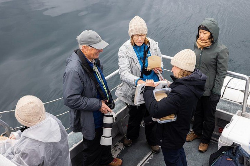 A group of people on a boat, some holding cameras and binoculars, likely engaged in marine observation or photography. 4