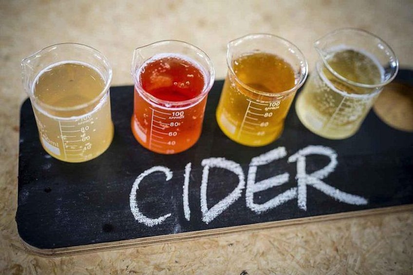 Four beakers with different colored liquids on a blackboard labeled 'CIDER'. 3