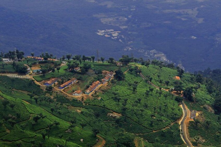 Day Trip to Coonoor (Guided Sightseeing Tour by Car from Ooty) 3
