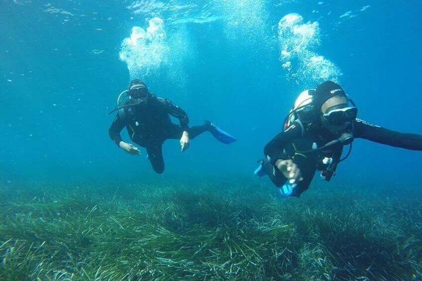 Deux plongeurs sous-marins évoluent dans l’eau, des bulles remontant à la surface. 2