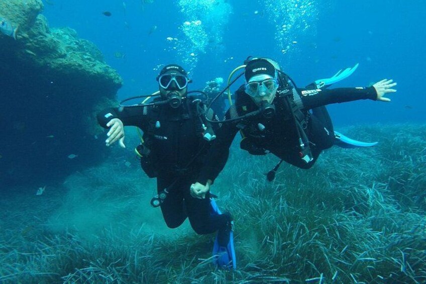 Two scuba divers underwater with fins, surrounded by marine life and underwater vegetation. 2