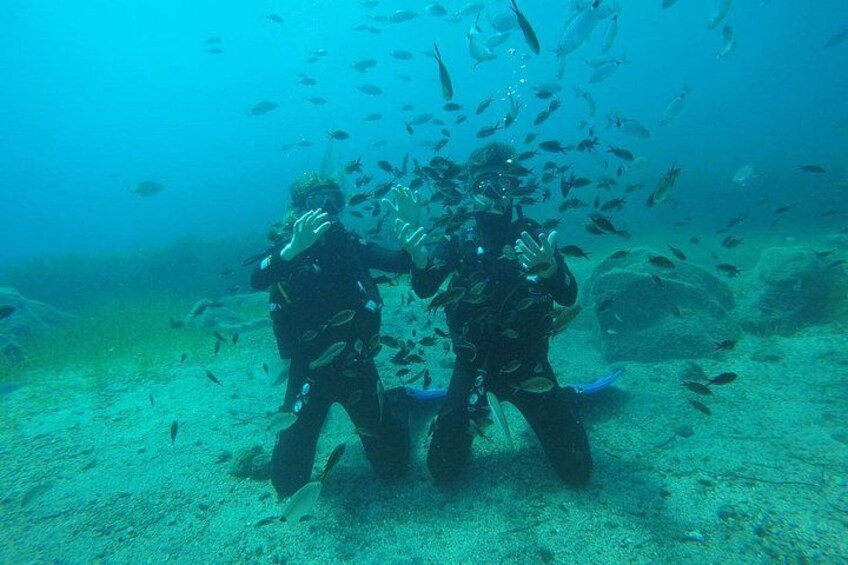 Two scuba divers underwater with a school of fish around them. 3