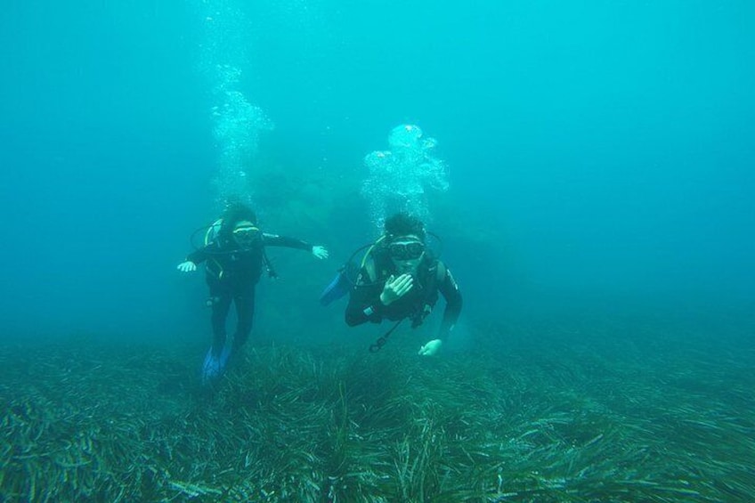 Deux plongeurs sous-marins évoluent au milieu des coraux et des plantes marines. 4