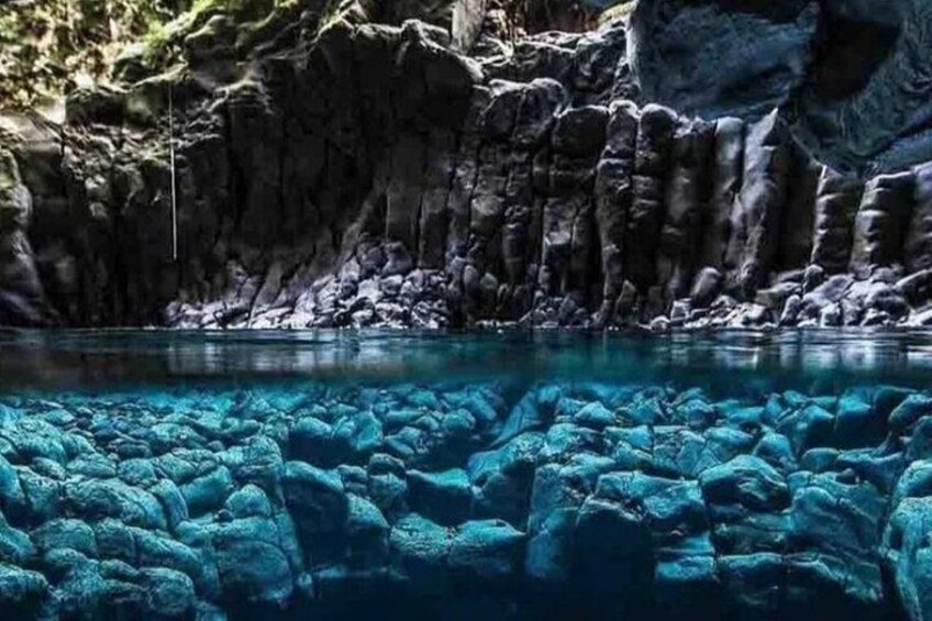 Mnemba Dolphin Tour, Jozani Forest Tour, Kuza Cave Tour, Paje Beach, The Rock Restaurant Zanzibar 3