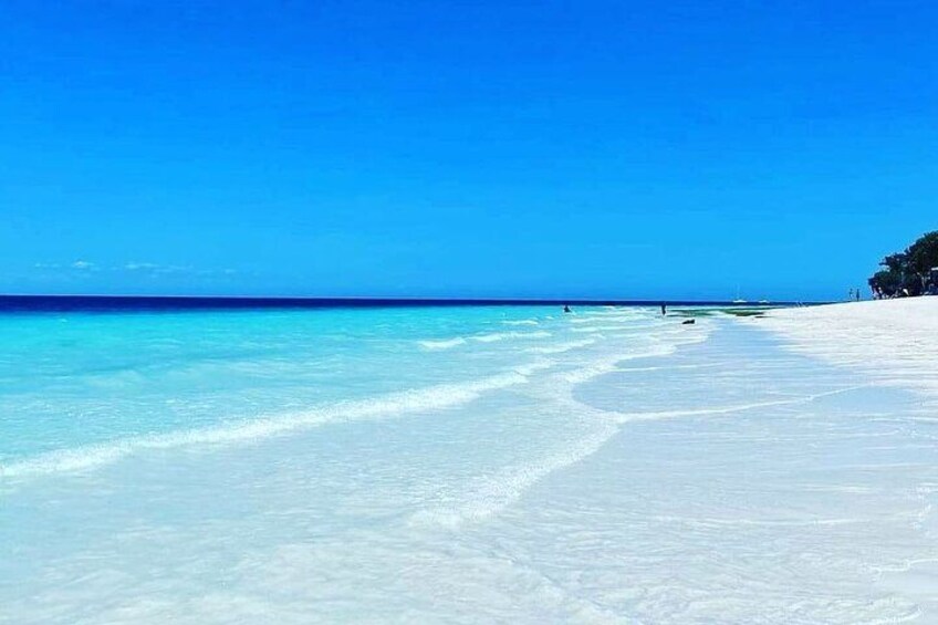 Mnemba Dolphin Tour, Jozani Forest Tour, Kuza Cave Tour, Paje Beach, The Rock Restaurant Zanzibar 2