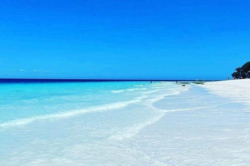 Mnemba Dolphin Tour, Jozani Forest Tour, Kuza Cave Tour, Paje Beach, The Rock Restaurant Zanzibar 2
