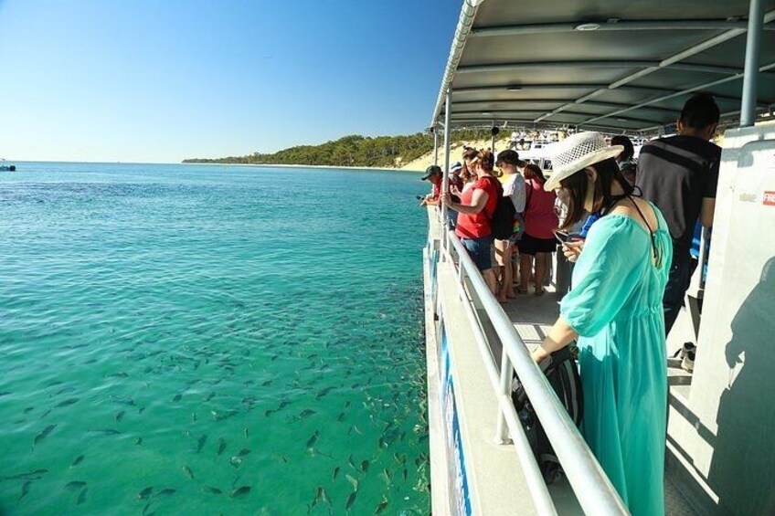 Adventure Moreton Island Wrecks Adventure Package 3