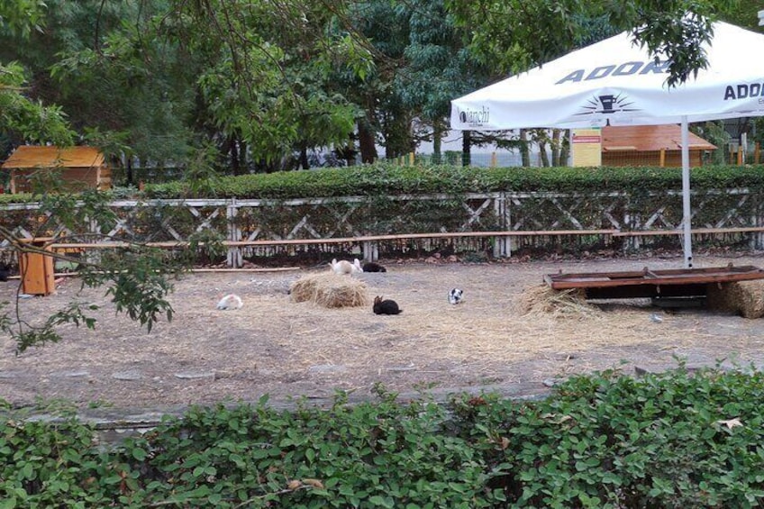 A farm with hay bales, a white umbrella, and a wooden fence. 1
