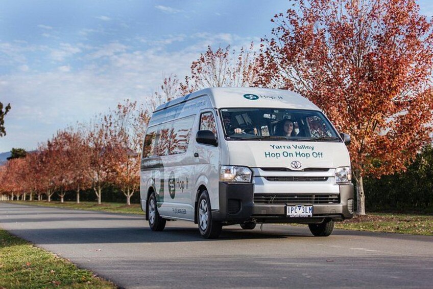 From Melbourne: Hop On Hop Off Yarra Valley - RED Route 2