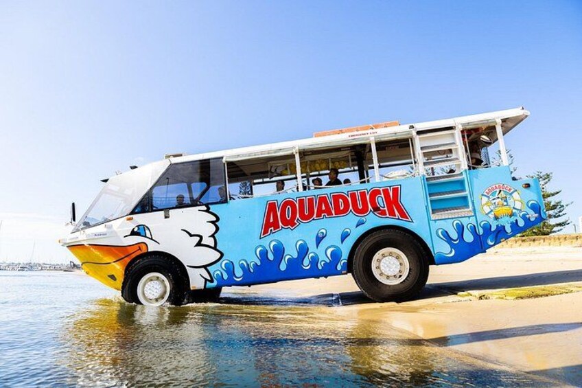 Aquaduck & Paradise Jet Boating Combo 4